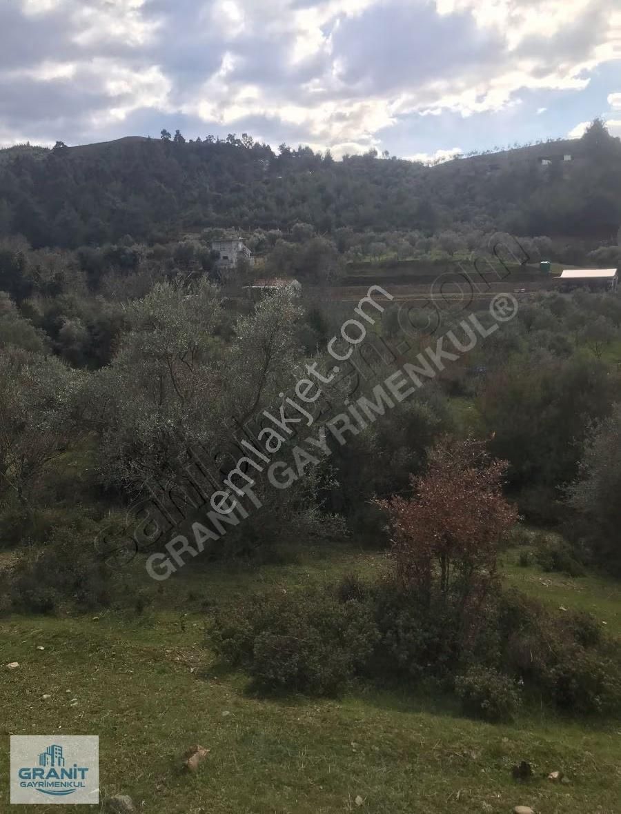 İzmir Kemalpaşa'da Satılık 20.318 M² Zeytinlik - Müstakil Tapulu - Görsel 9