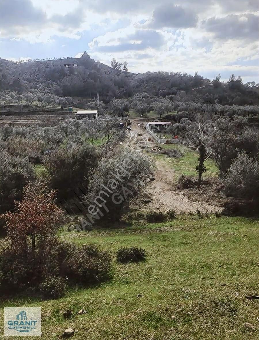 İzmir Kemalpaşa'da Satılık 20.318 M² Zeytinlik - Müstakil Tapulu - Görsel 30