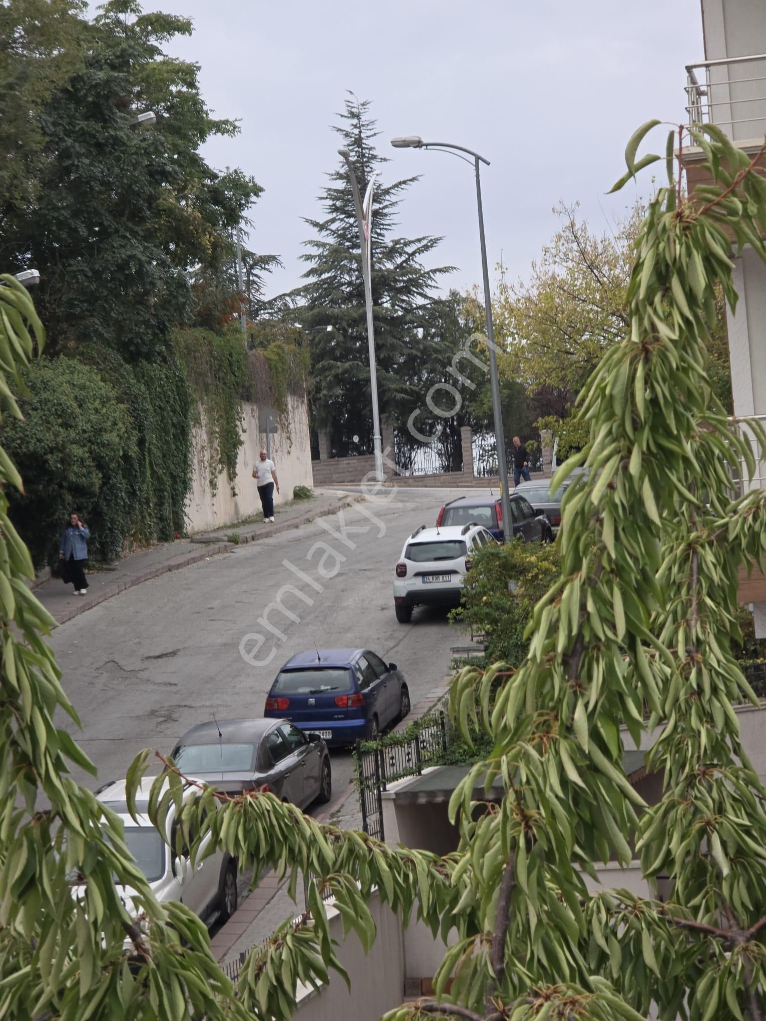Çayır'dan ,abidinpaşa ,gülistan Sk.ta ,yalıtımlı ,ön Güney Batı Cepheli ,kombili ,3+1 - Görsel 18