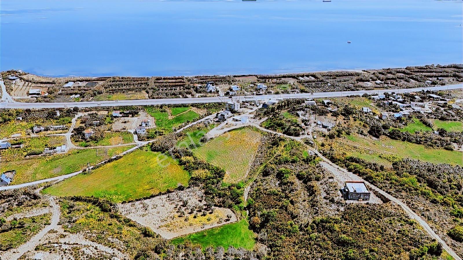 Çalışkanlar'da 1.295 M2 Satılık Arazi - Görsel 16