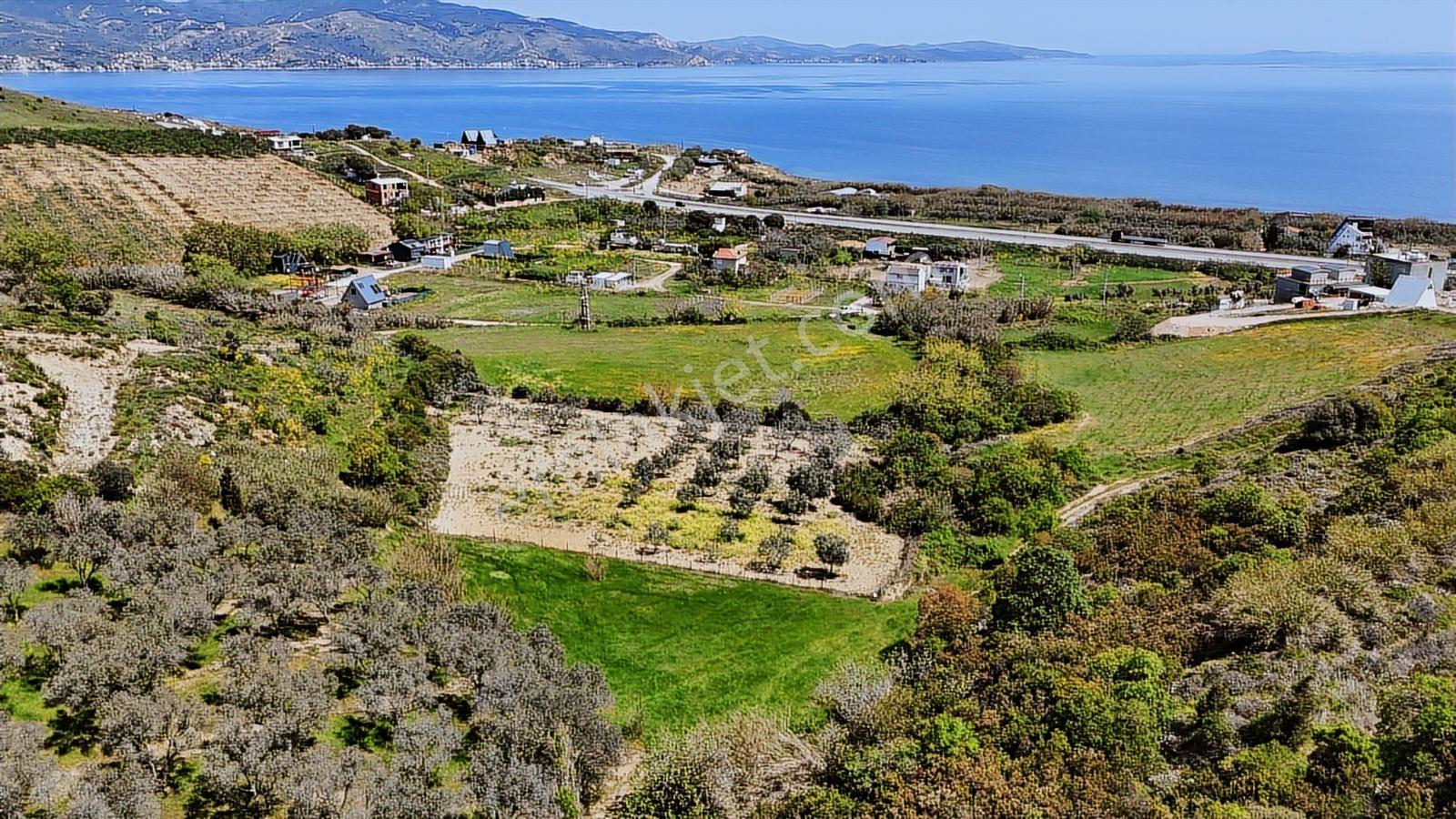 Çalışkanlar'da 1.295 M2 Satılık Arazi - Görsel 14