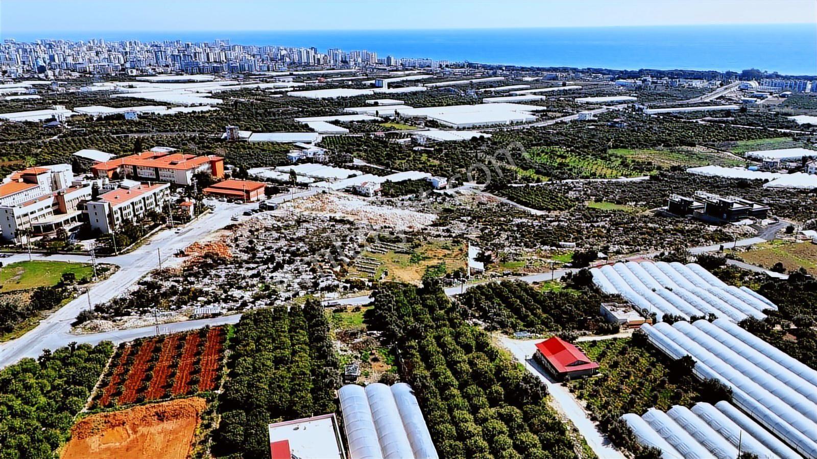 Erdemli Koyuncu Deniz Manzaralı 8 Kata İmarlı 1013 M2 Arsa - Görsel 9