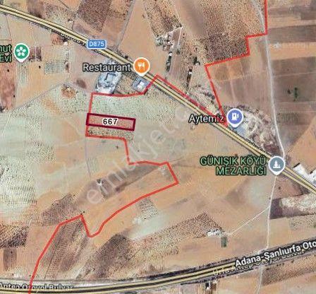 Karaköprü Kızlar'da 14.627 M² Fıstıklık, Yatırımlık, Takaslık - Görsel 4