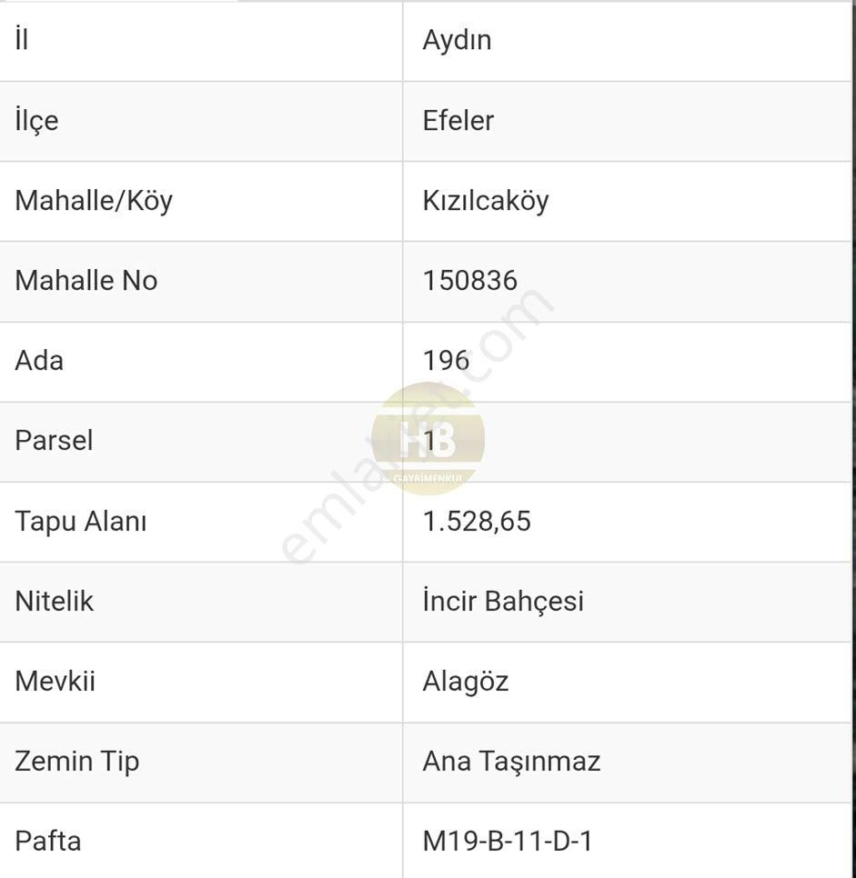 Hb'den Satılık Bahçe, Gelecek İçin Mükemmel Yatırım, Müstakil Tapulu 3594 M² - Görsel 13