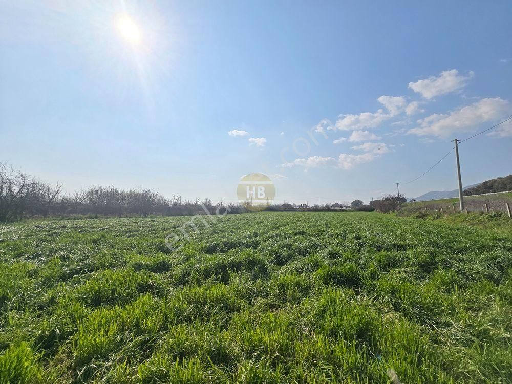 Hb'den Satılık Bahçe, Gelecek İçin Mükemmel Yatırım, Müstakil Tapulu 3594 M² - Görsel 7
