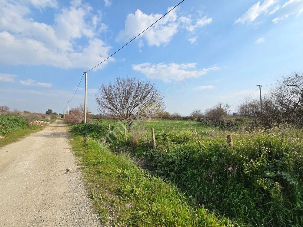 Hb'den Satılık Bahçe, Gelecek İçin Mükemmel Yatırım, Müstakil Tapulu 3594 M² - Görsel 10