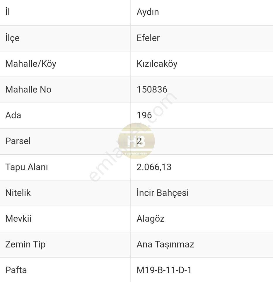 Hb'den Satılık Bahçe, Gelecek İçin Mükemmel Yatırım, Müstakil Tapulu 3594 M² - Görsel 14
