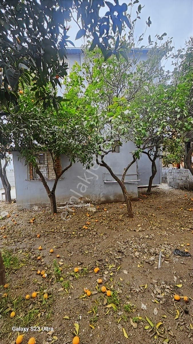 3 Katlı 400 Metrekare Kullanim Alanı Satılık Müstakil Acil - Görsel 19