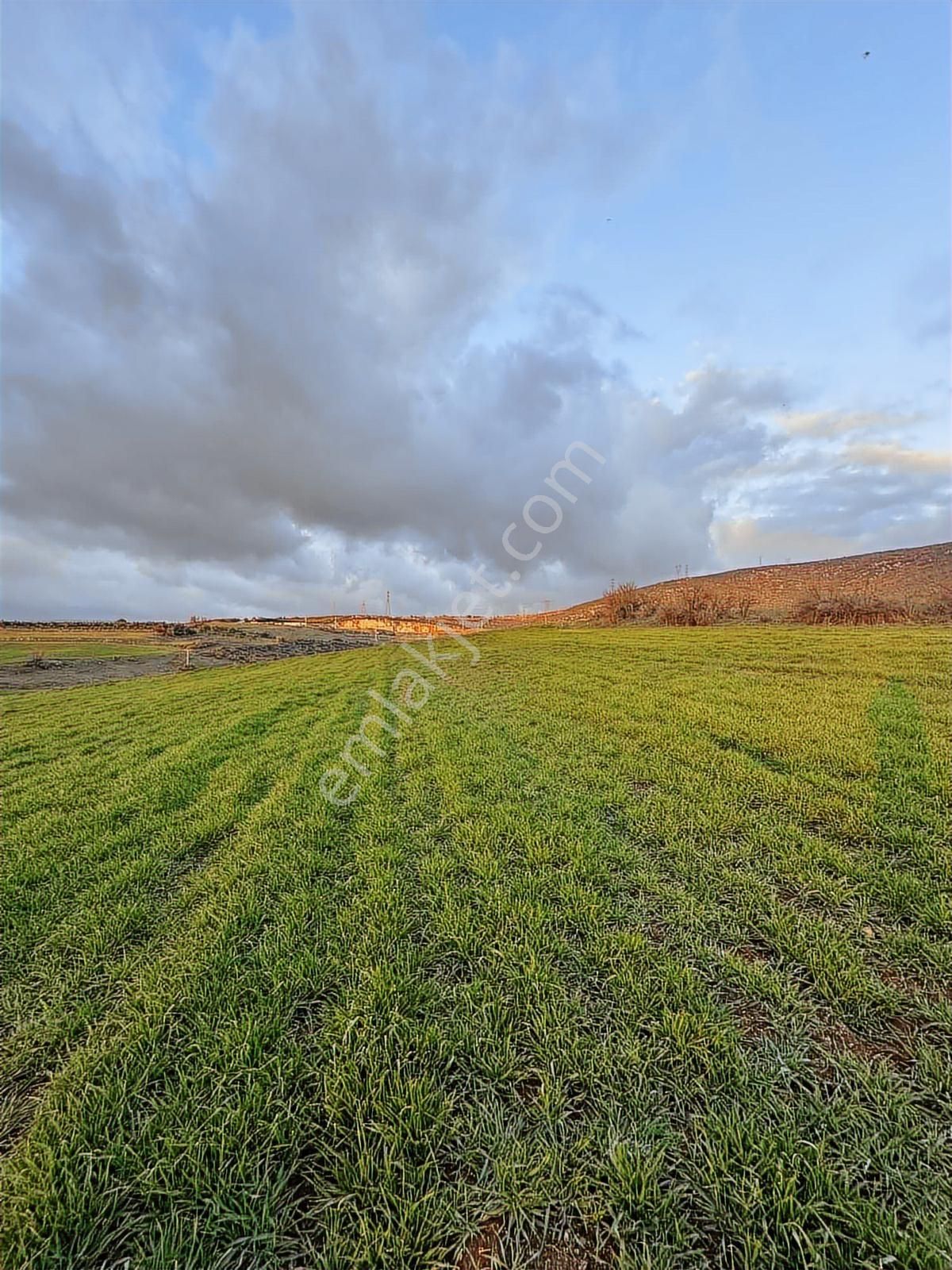Karacabey Kıranlar Mahallesinde 45,394 M2 Satılık Arazi