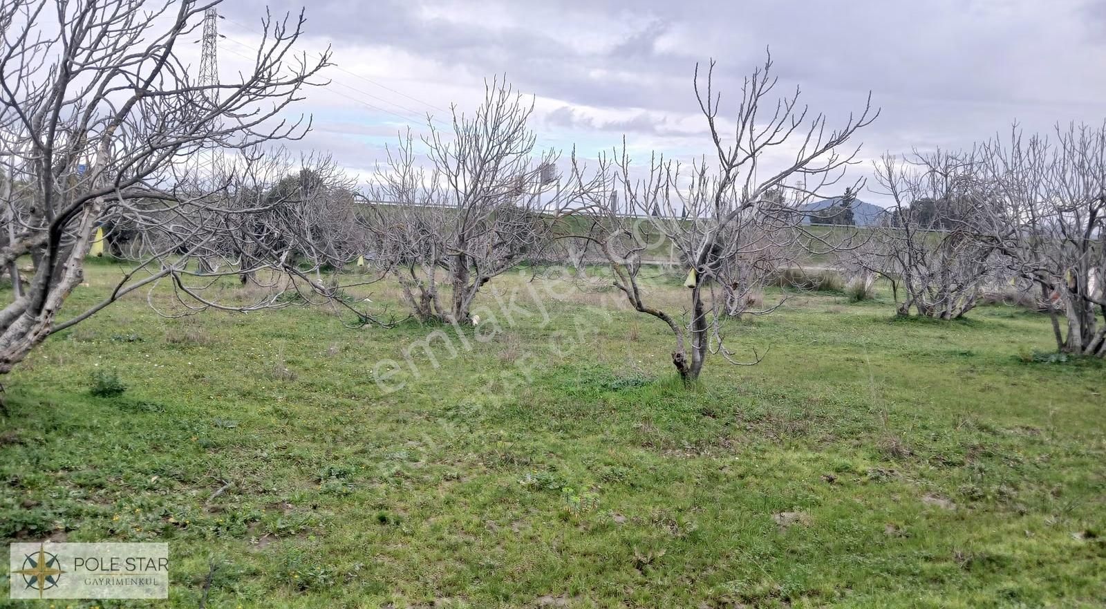 Germencik-hıdırbeyli'de 5.164 M² İmar Uygulama Bölgesinde Bahçe - Görsel 3