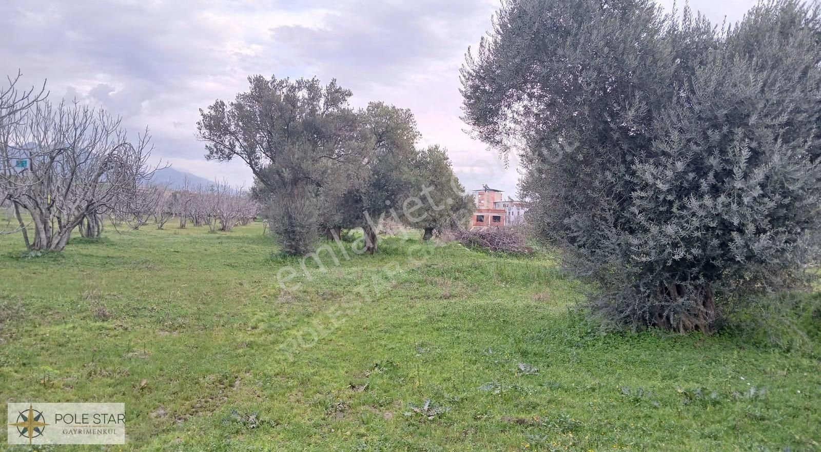 Germencik-hıdırbeyli'de 5.164 M² İmar Uygulama Bölgesinde Bahçe - Görsel 19