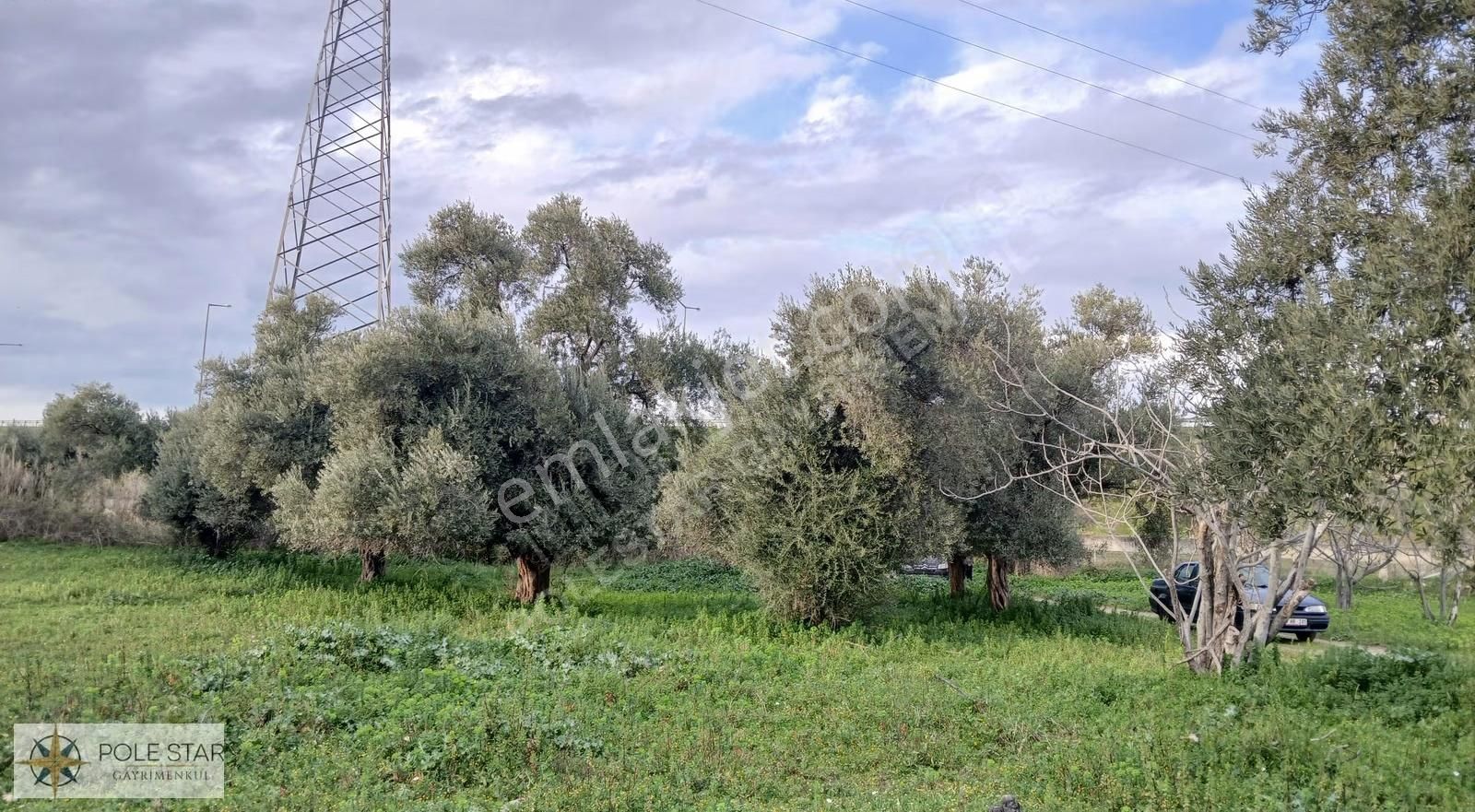 Germencik-hıdırbeyli'de 5.164 M² İmar Uygulama Bölgesinde Bahçe - Görsel 5