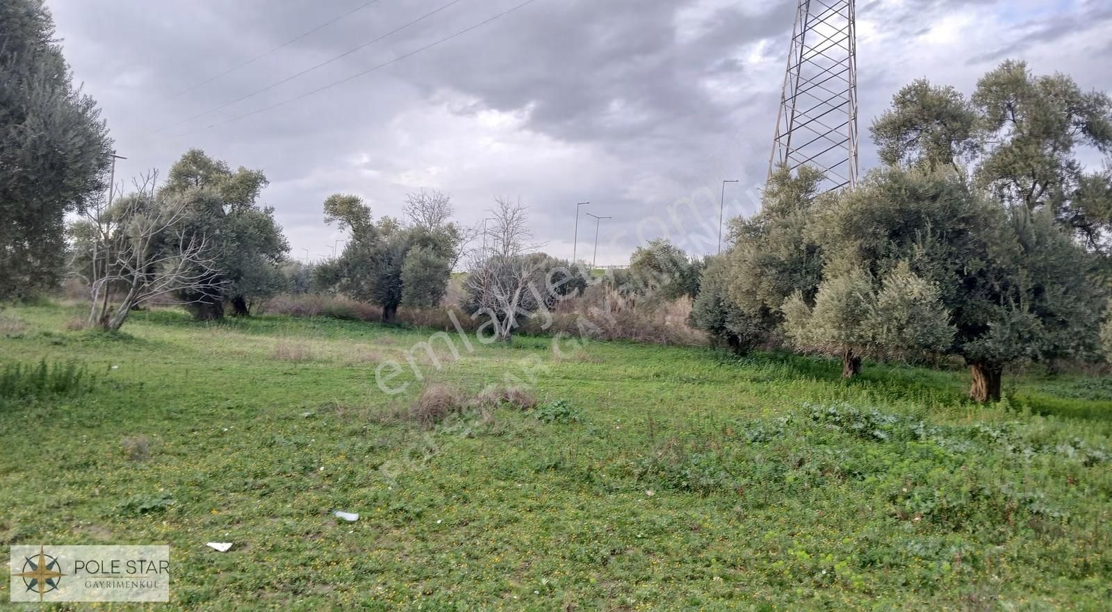 Germencik-hıdırbeyli'de 5.164 M² İmar Uygulama Bölgesinde Bahçe - Görsel 16