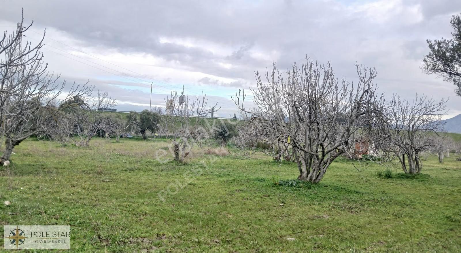 Germencik-hıdırbeyli'de 5.164 M² İmar Uygulama Bölgesinde Bahçe - Görsel 8