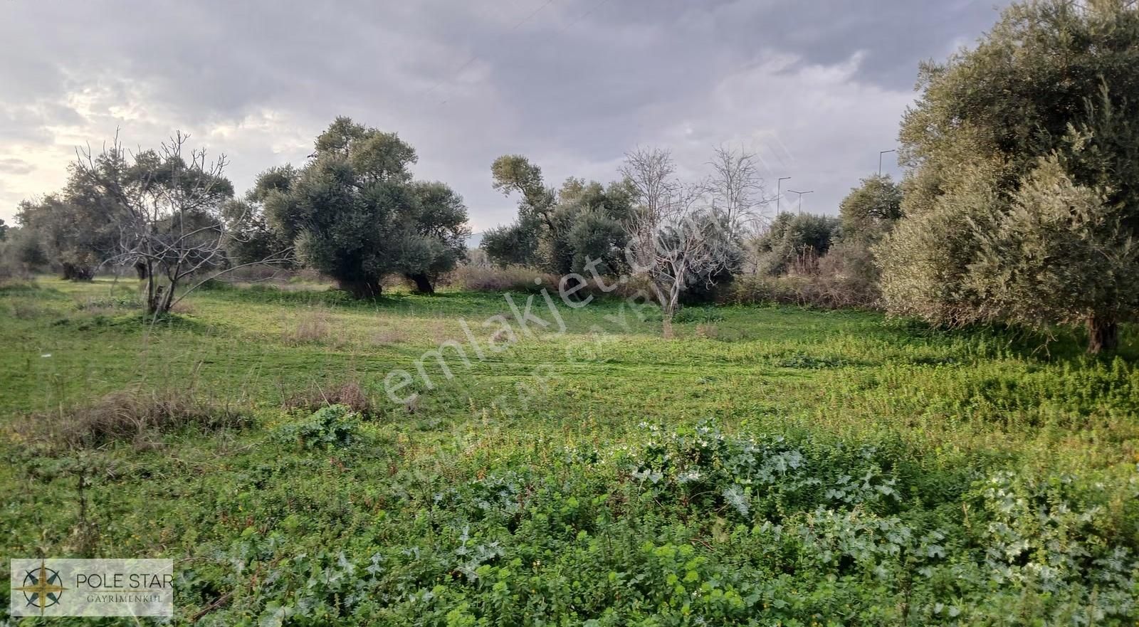 Germencik-hıdırbeyli'de 5.164 M² İmar Uygulama Bölgesinde Bahçe - Görsel 15