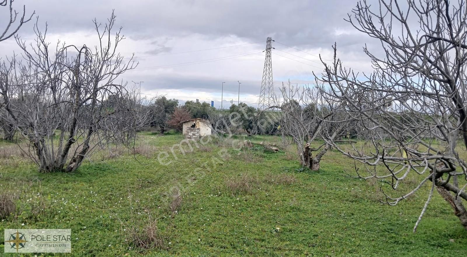 Germencik-hıdırbeyli'de 5.164 M² İmar Uygulama Bölgesinde Bahçe - Görsel 21