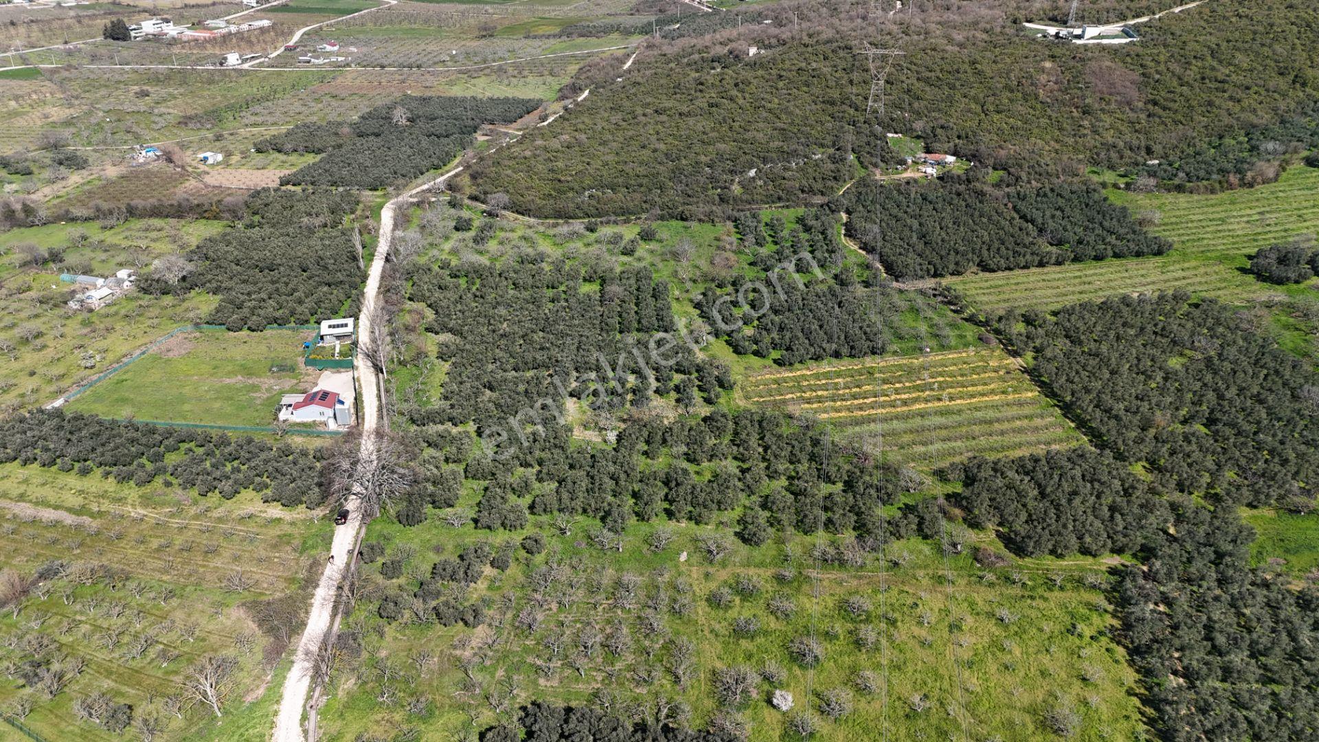Nilüfer Fadıllı'da Göl Manzaralı, 4000m² Bahçe - Görsel 10