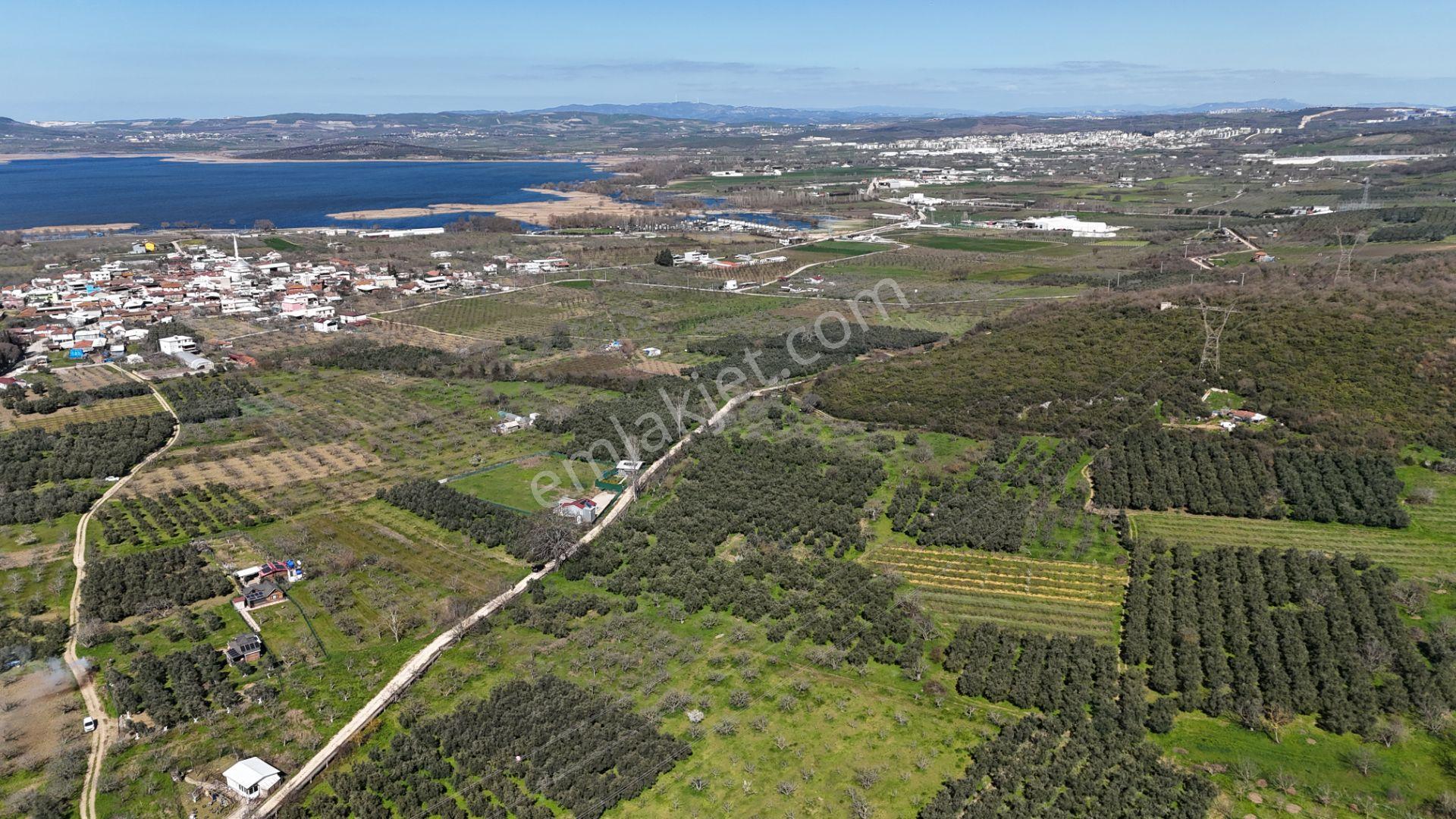 Nilüfer Fadıllı'da Göl Manzaralı, 4000m² Bahçe - Görsel 9