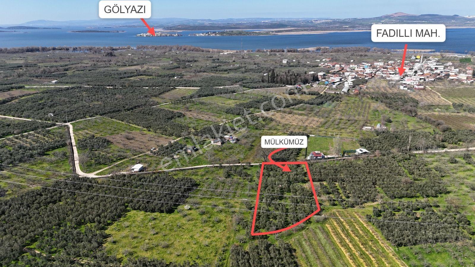 Nilüfer Fadıllı'da Göl Manzaralı, 4000m² Bahçe - Görsel 2