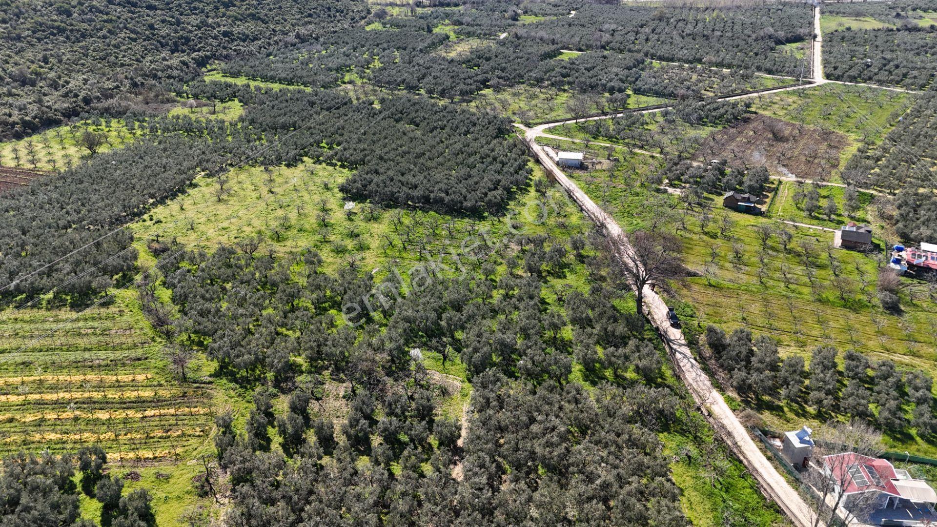 Nilüfer Fadıllı'da Göl Manzaralı, 4000m² Bahçe - Görsel 6