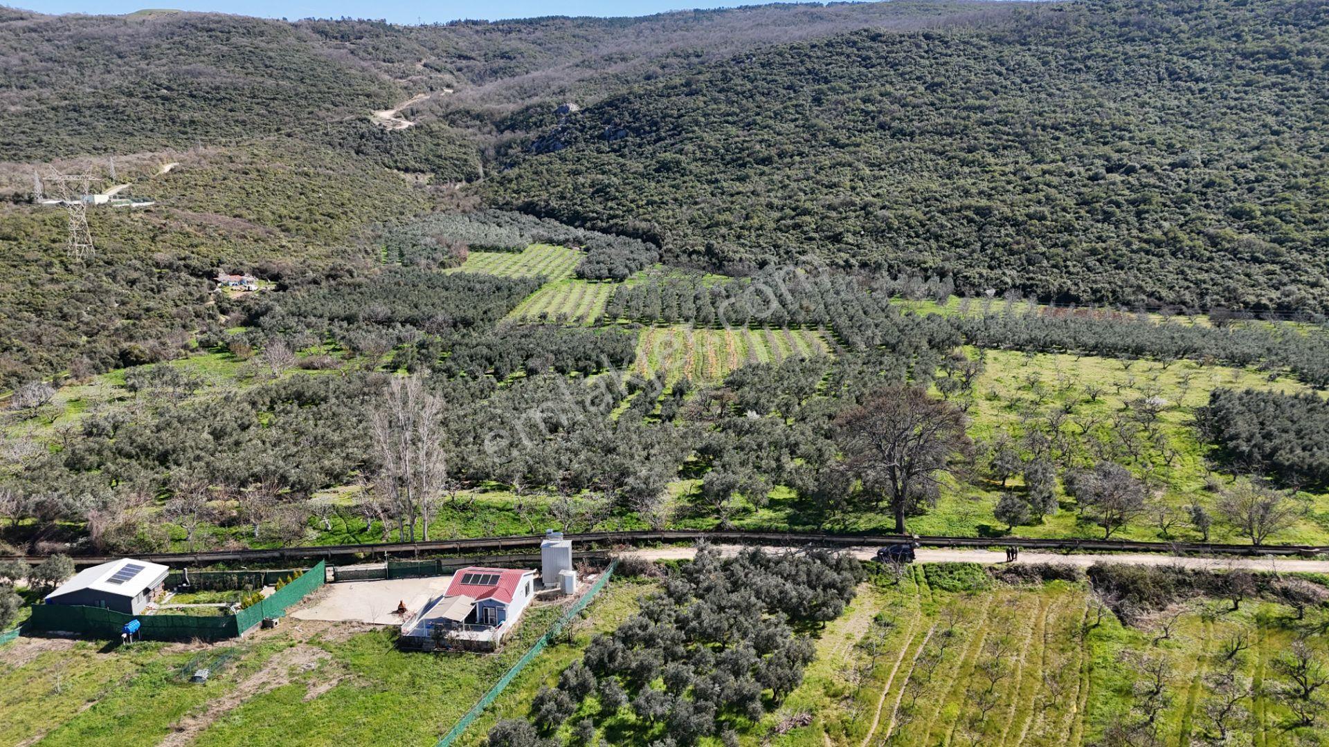 Nilüfer Fadıllı'da Göl Manzaralı, 4000m² Bahçe - Görsel 5