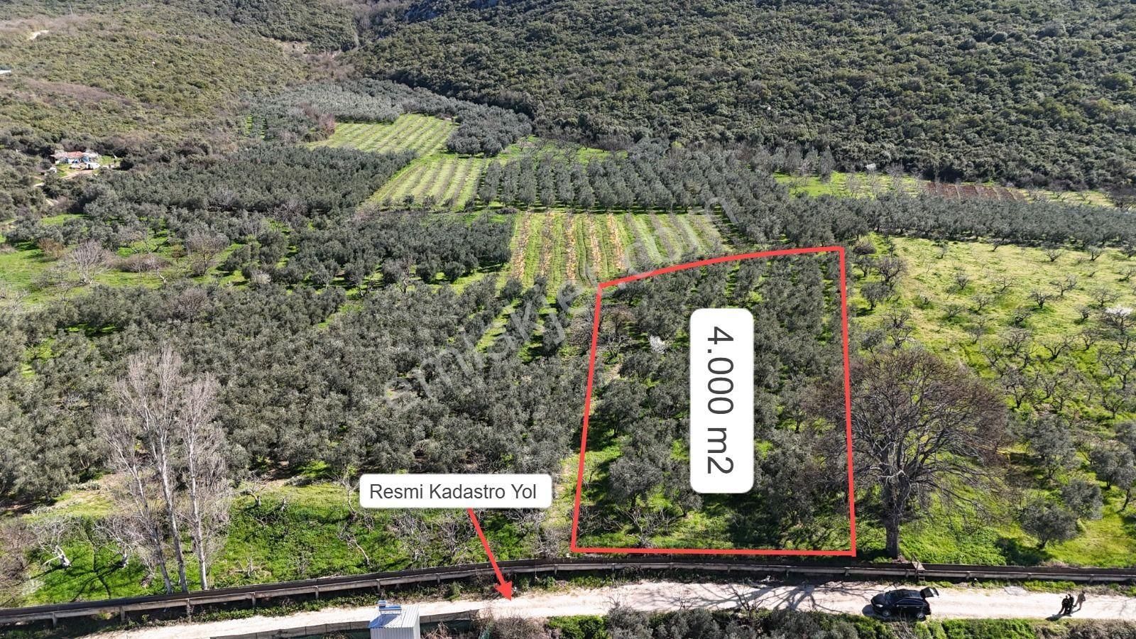 Nilüfer Fadıllı'da Göl Manzaralı, 4000m² Bahçe - Görsel 3