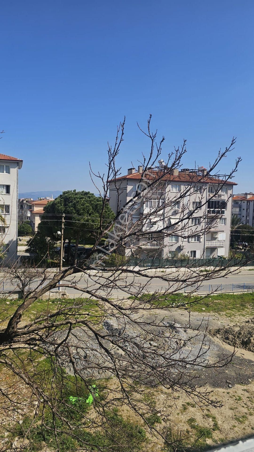 Söke Emlak Ofisinden Çeltikçi Mahallesinde Satılık Daire - Görsel 3