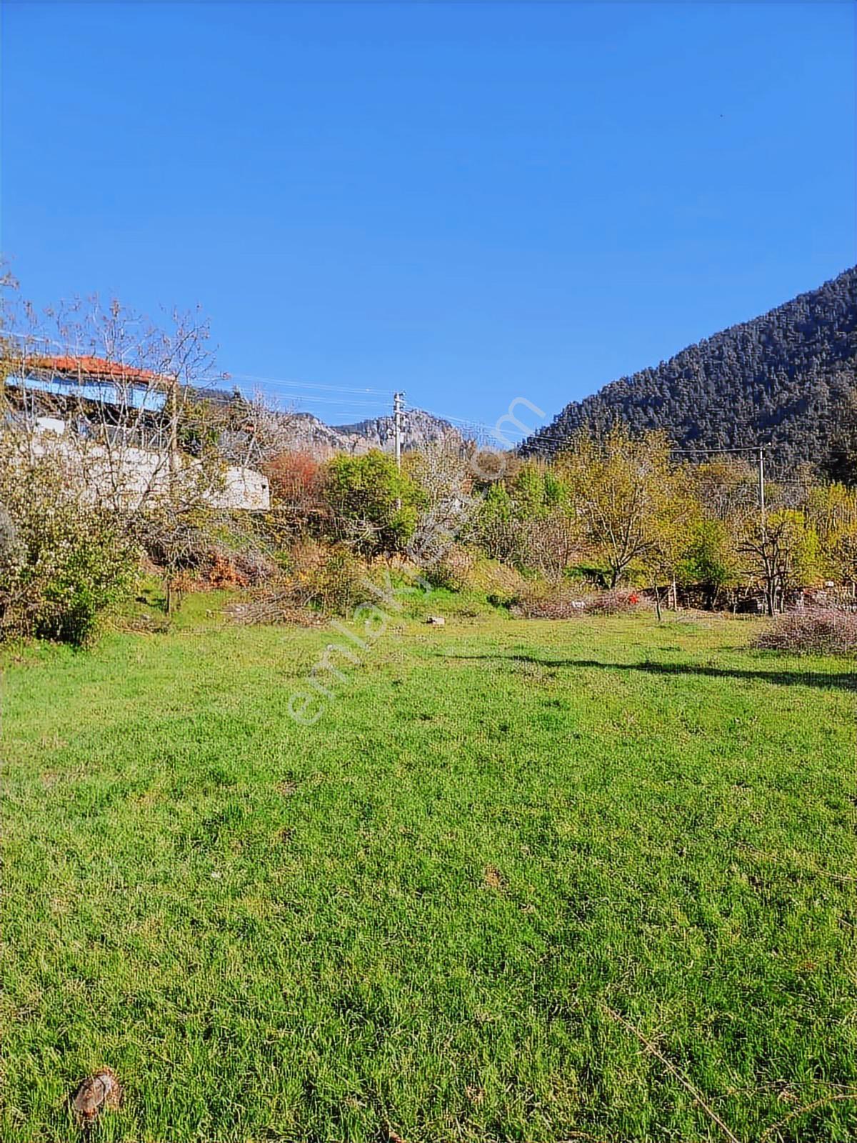 Net Premiumdan Honazda Doğayla İç İçe 2407m2 İmarlı Arsa - Görsel 7