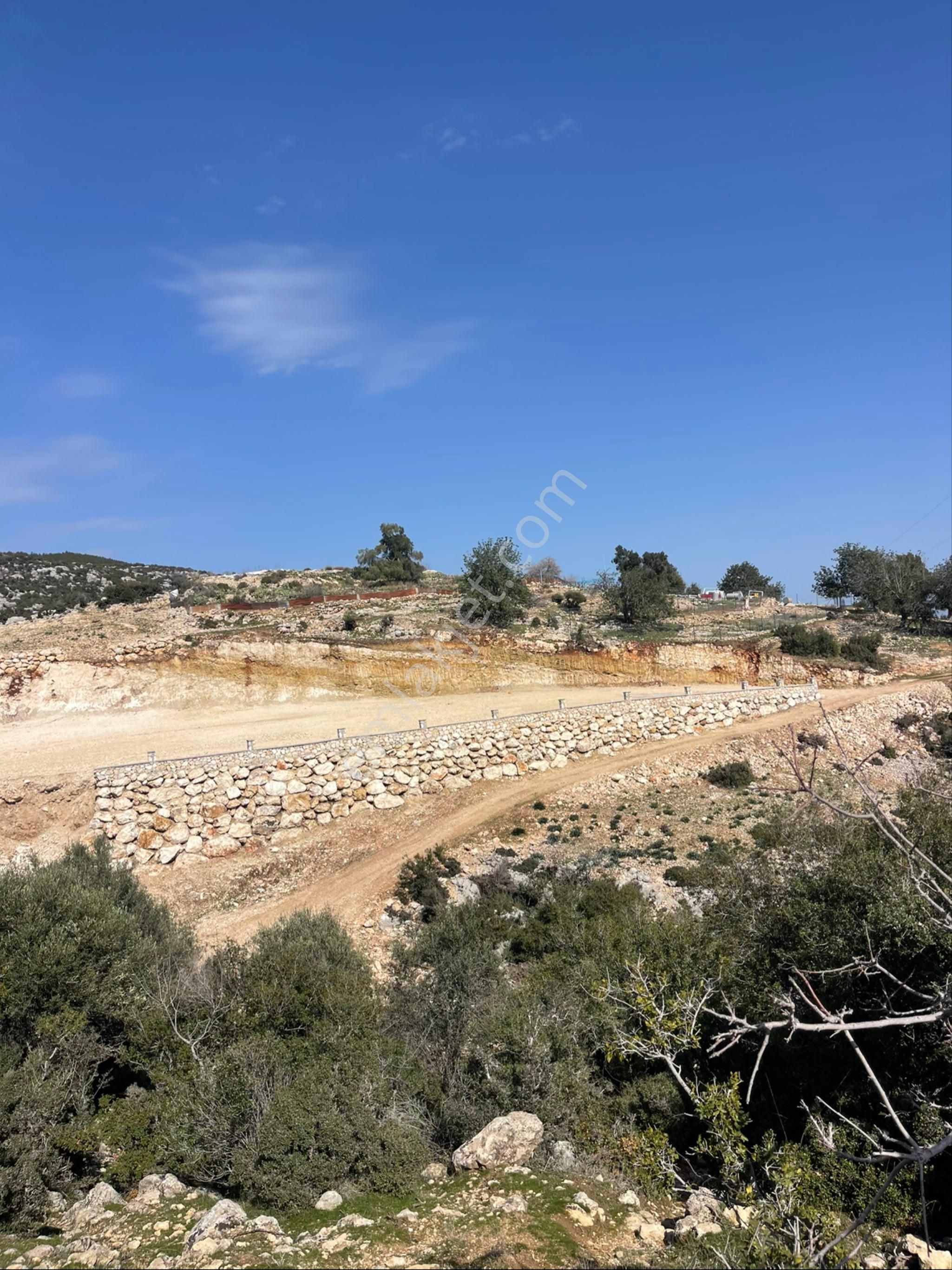 Yenişehir Kocahamzalıda Yatırımlık Tarla - Görsel 10