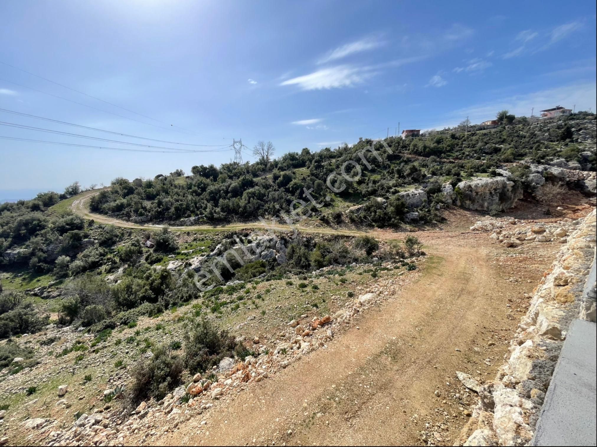 Yenişehir Kocahamzalıda Yatırımlık Tarla - Görsel 3