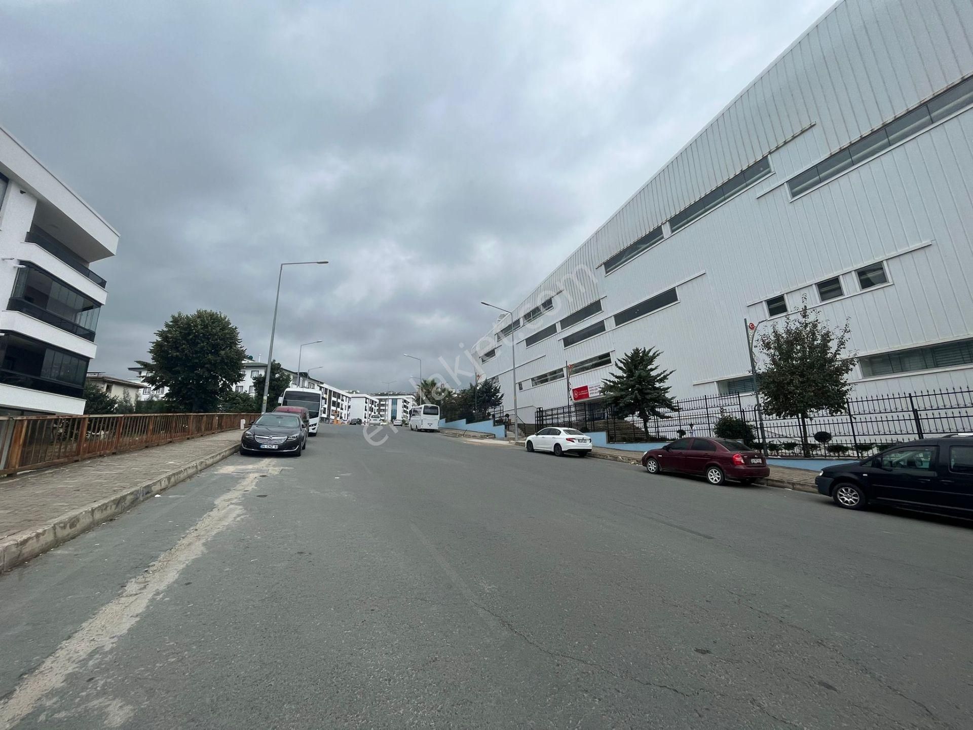 Trabzon Pelitli'de Kiralık Daire - Görsel 28