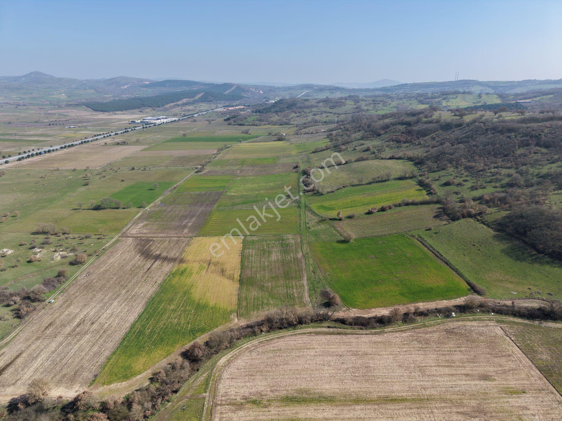 Cb King'den İvrindi/gökçeyazı Mahallesi 3854 M² Satılık Tarla - Görsel 6