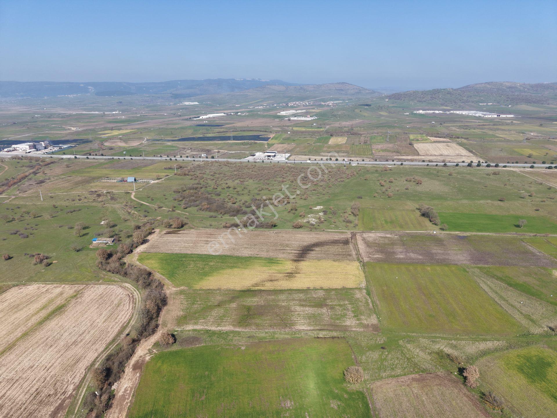 Cb King'den İvrindi/gökçeyazı Mahallesi 3854 M² Satılık Tarla - Görsel 5