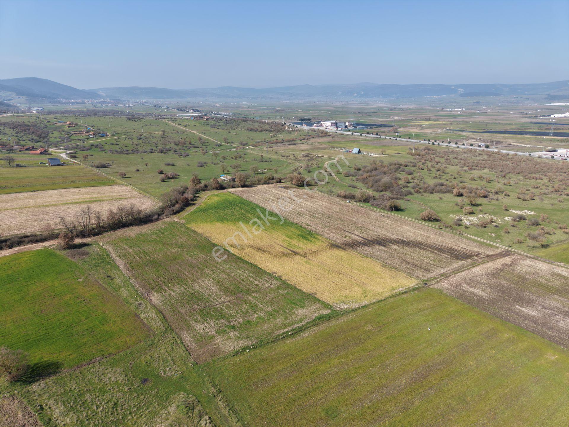 Cb King'den İvrindi/gökçeyazı Mahallesi 3854 M² Satılık Tarla - Görsel 3