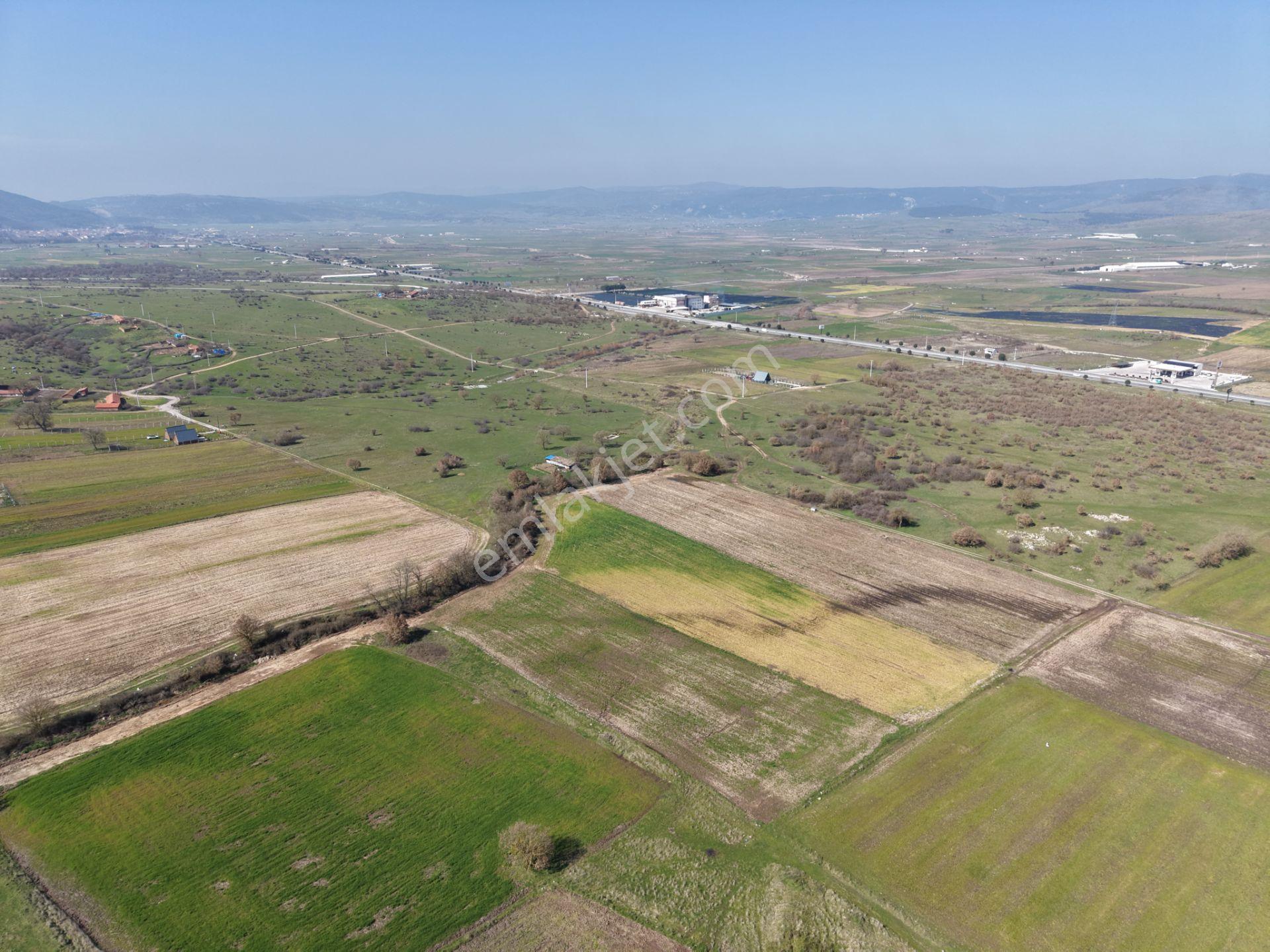 Cb King'den İvrindi/gökçeyazı Mahallesi 3854 M² Satılık Tarla - Görsel 4