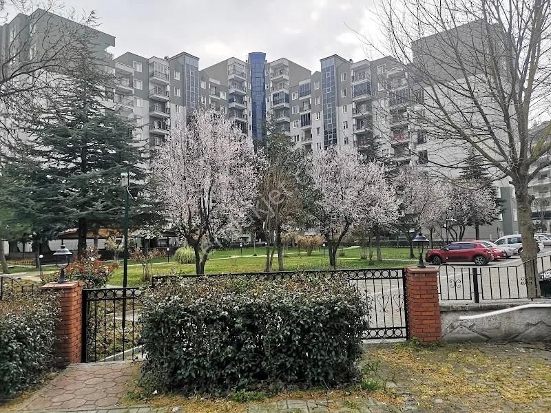 Nilüfer 29 Ekim Mah 3+1 1 Kat Kiralık Daire - Görsel 8