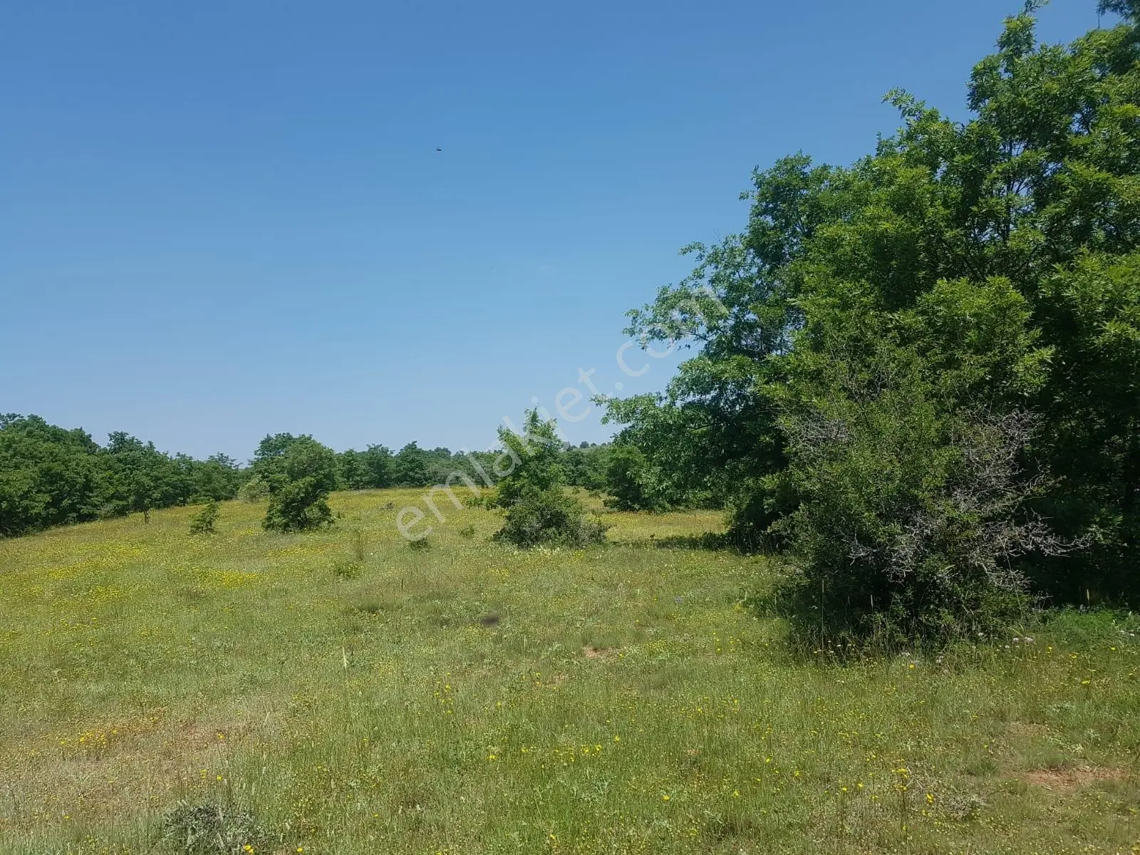 Başkan Emlaktan Satılık Yarımca Mah 1.000 M2 Tarla . Hesaplı