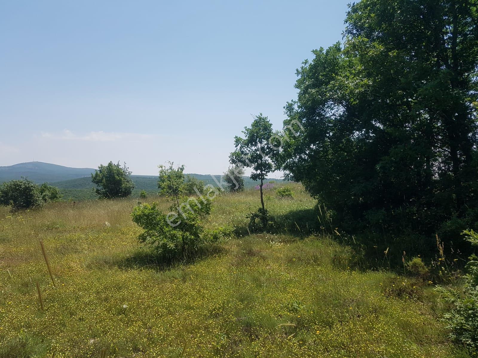 Başkan Emlaktan Satılık Yarımca Mah 1.000 M2 Tarla . Hesaplı - Görsel 3