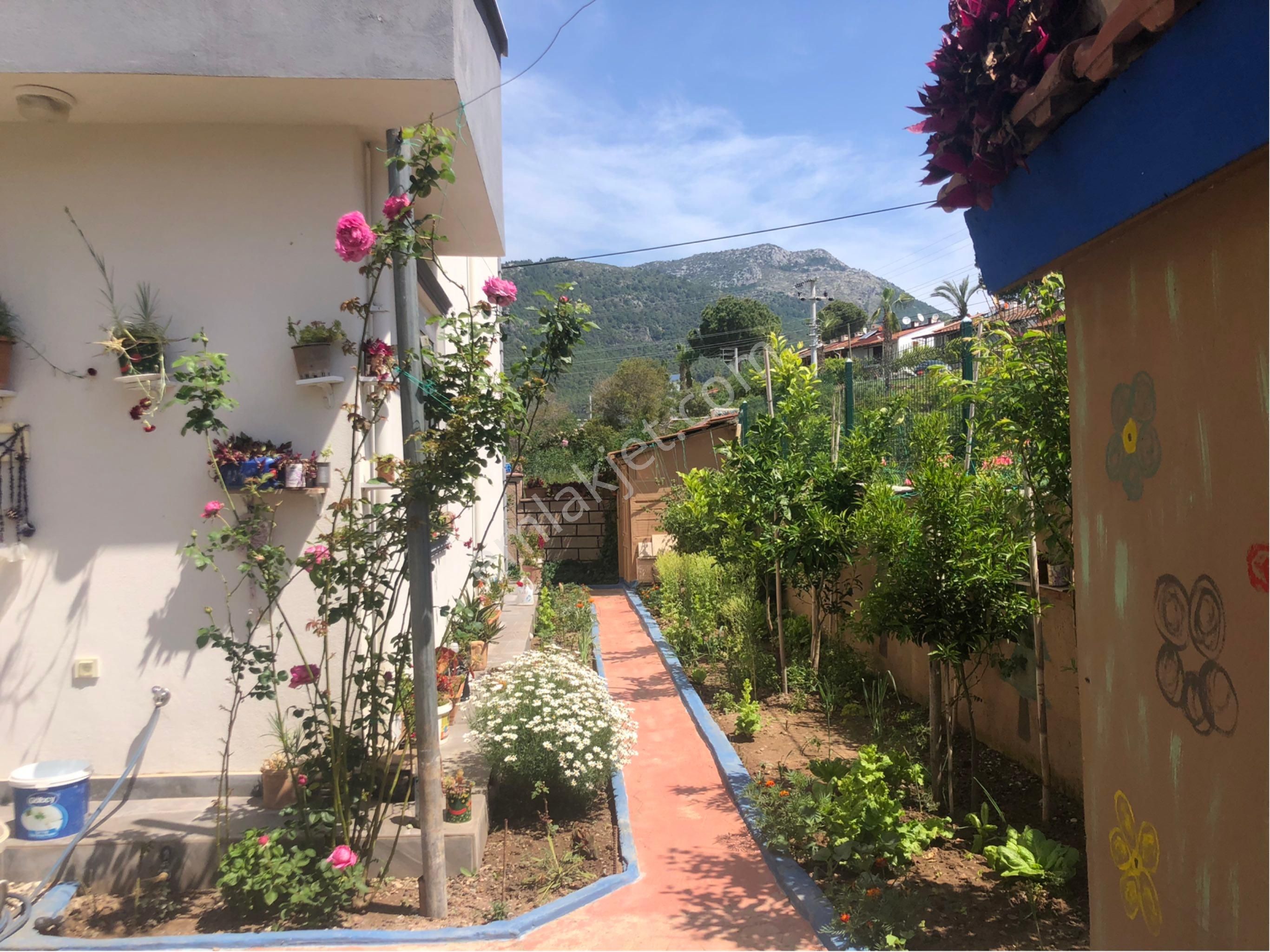 Kumlucakaraöz - Görsel 3