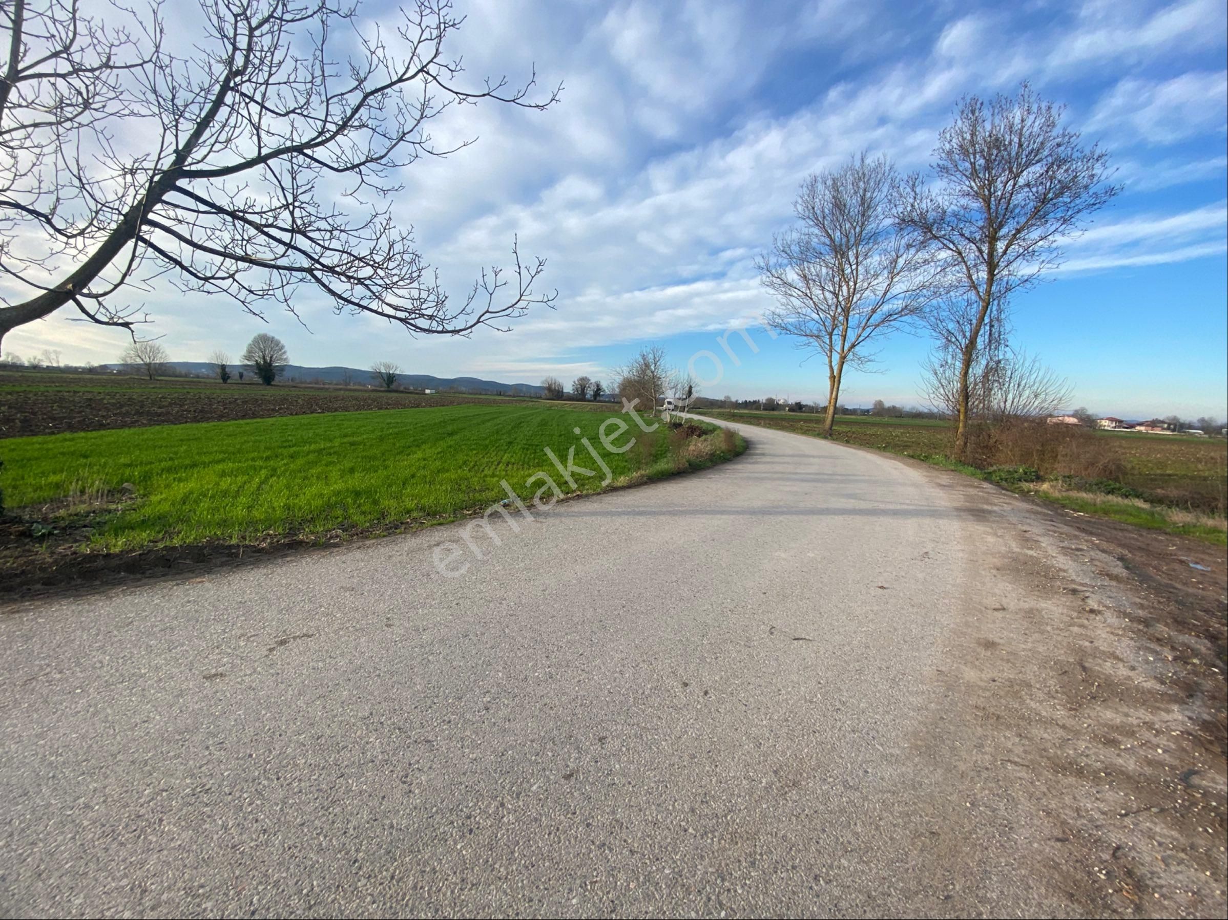 Remax Maviden Hem Yatırımlık,hem Hobi,hem De Konteynerlik