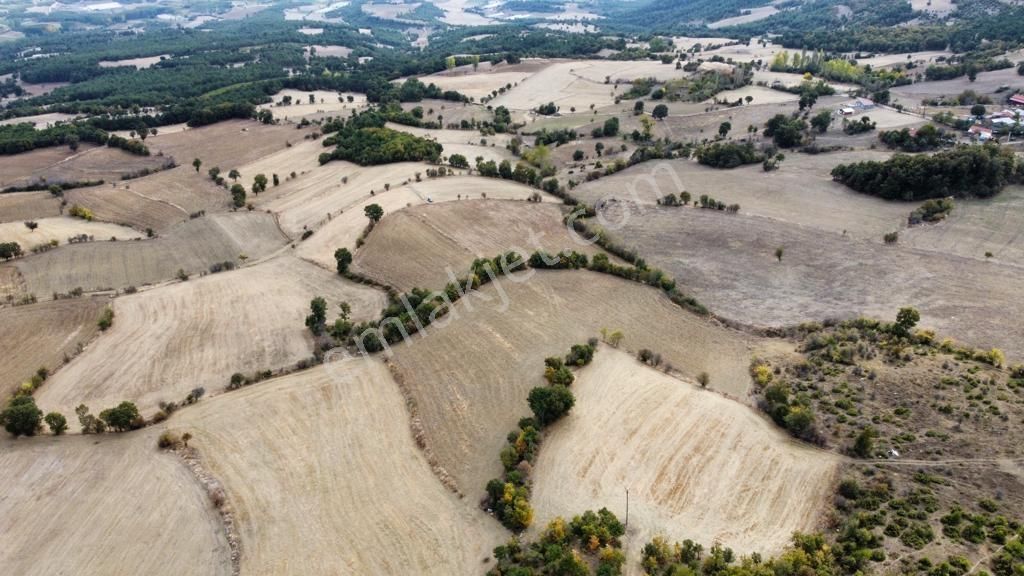 Avdan Mahallesinde Yola Cepheli 11.787m2 Havadar Konumlu Tarla - Görsel 5