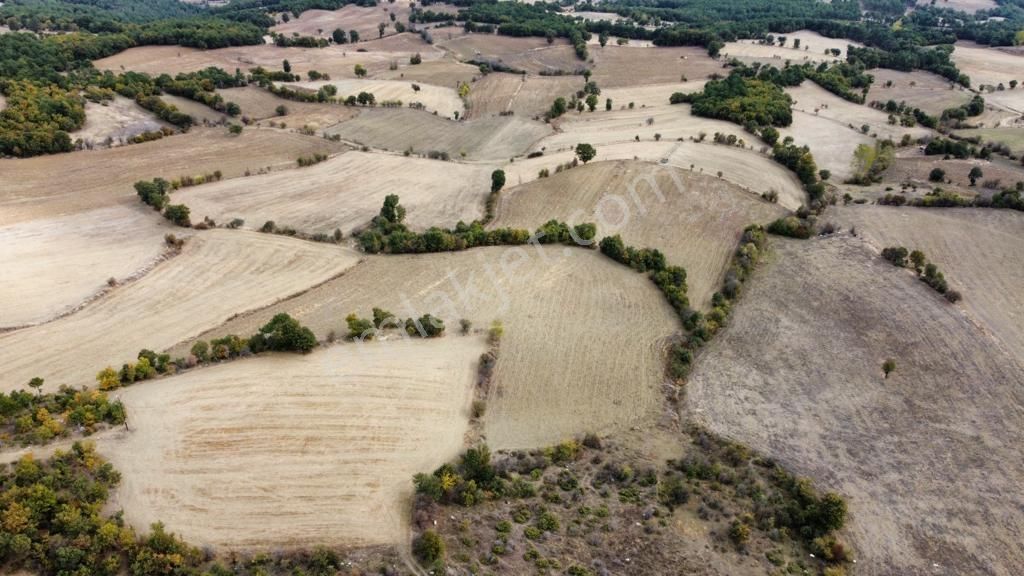 Avdan Mahallesinde Yola Cepheli 11.787m2 Havadar Konumlu Tarla - Görsel 3