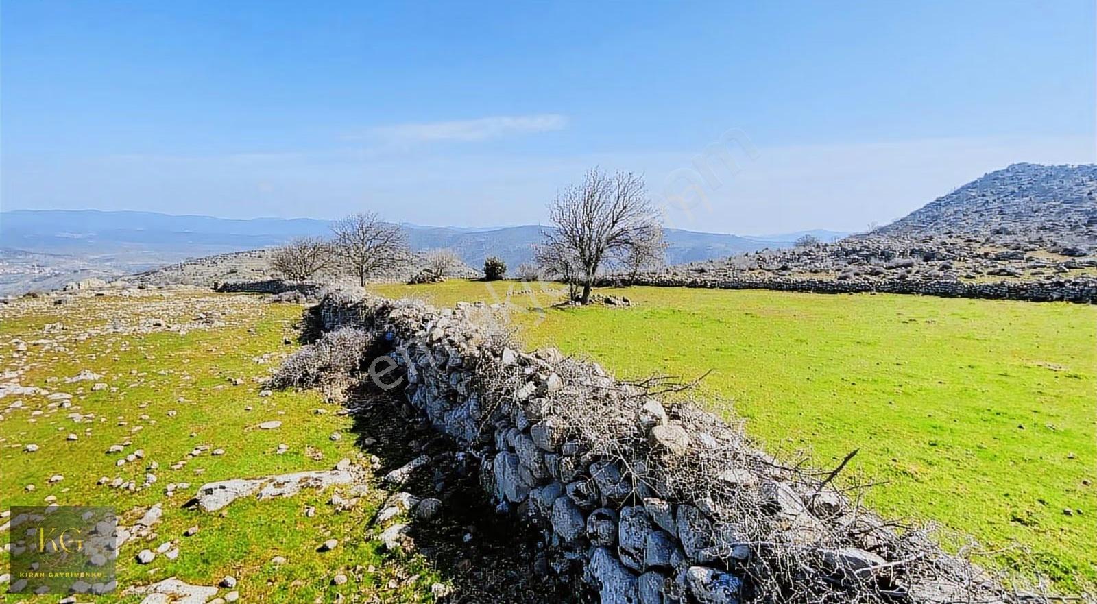 Manisa Yunusemre Örsellide Satılık 2.300 Metre Kare - Görsel 12