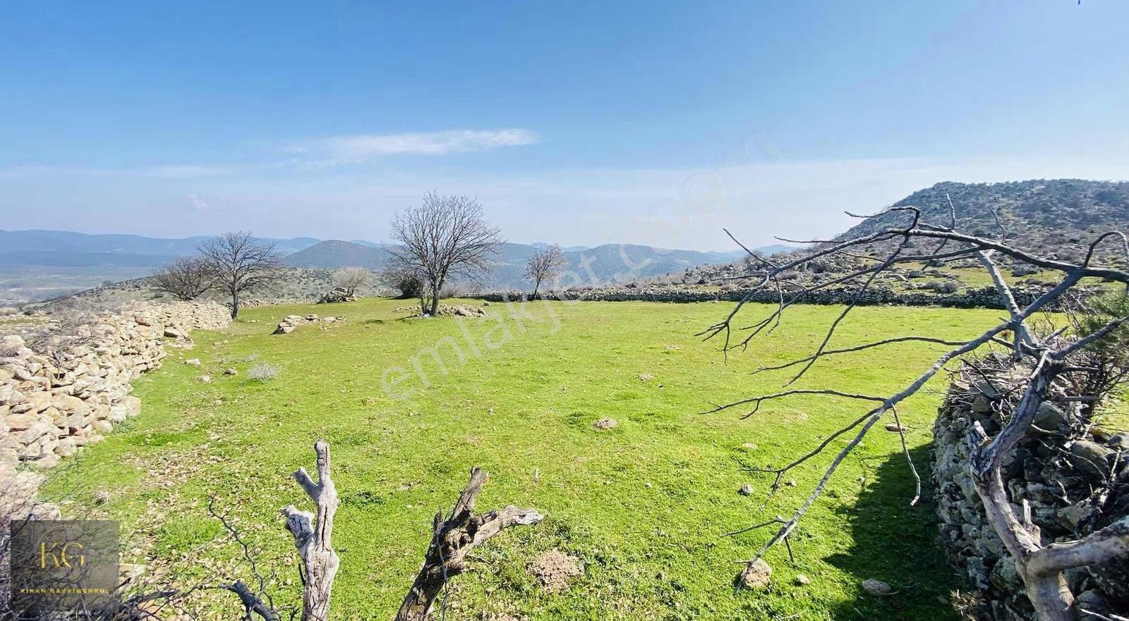 Manisa Yunusemre Örsellide Satılık 2.300 Metre Kare - Görsel 6