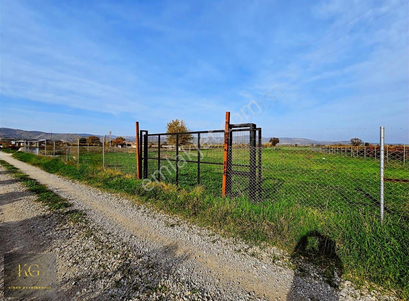 Manisa Yunusemre Muradiyede Satılık 4.300 M² Tek Tapu Tarla - Görsel 4