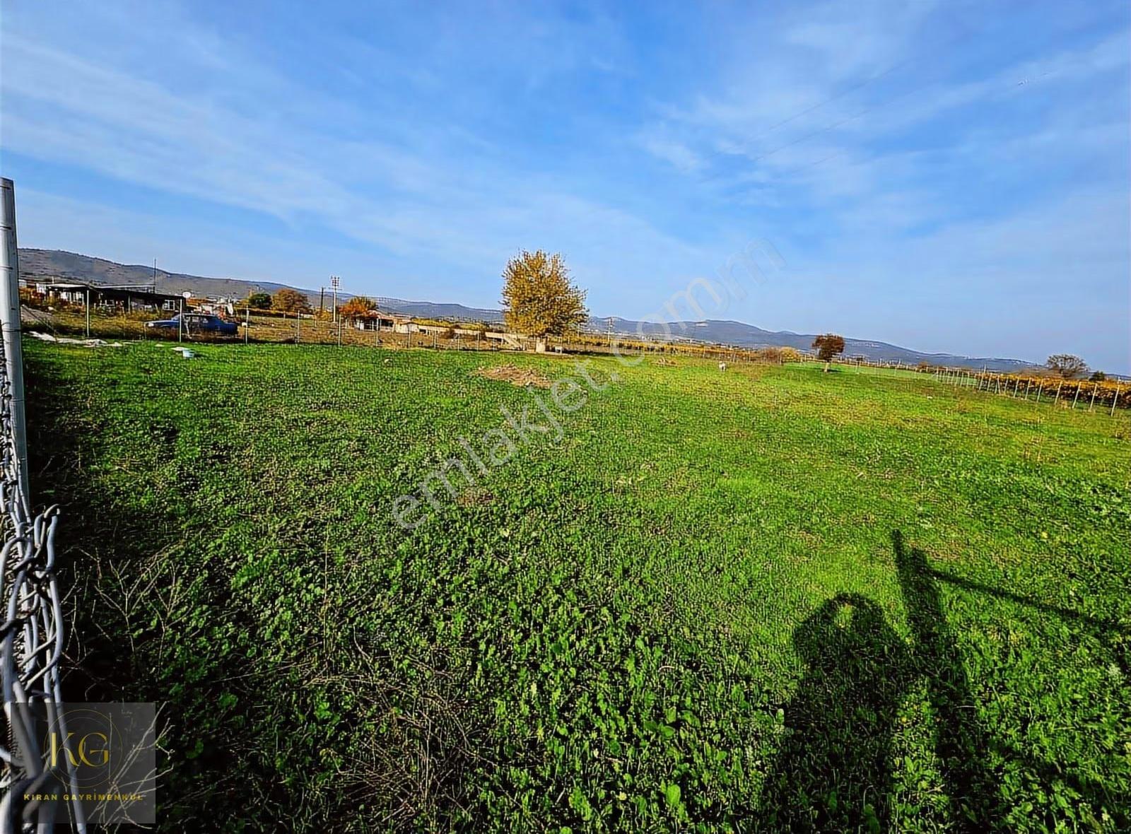 Manisa Yunusemre Muradiyede Satılık 4.300 M² Tek Tapu Tarla - Görsel 2