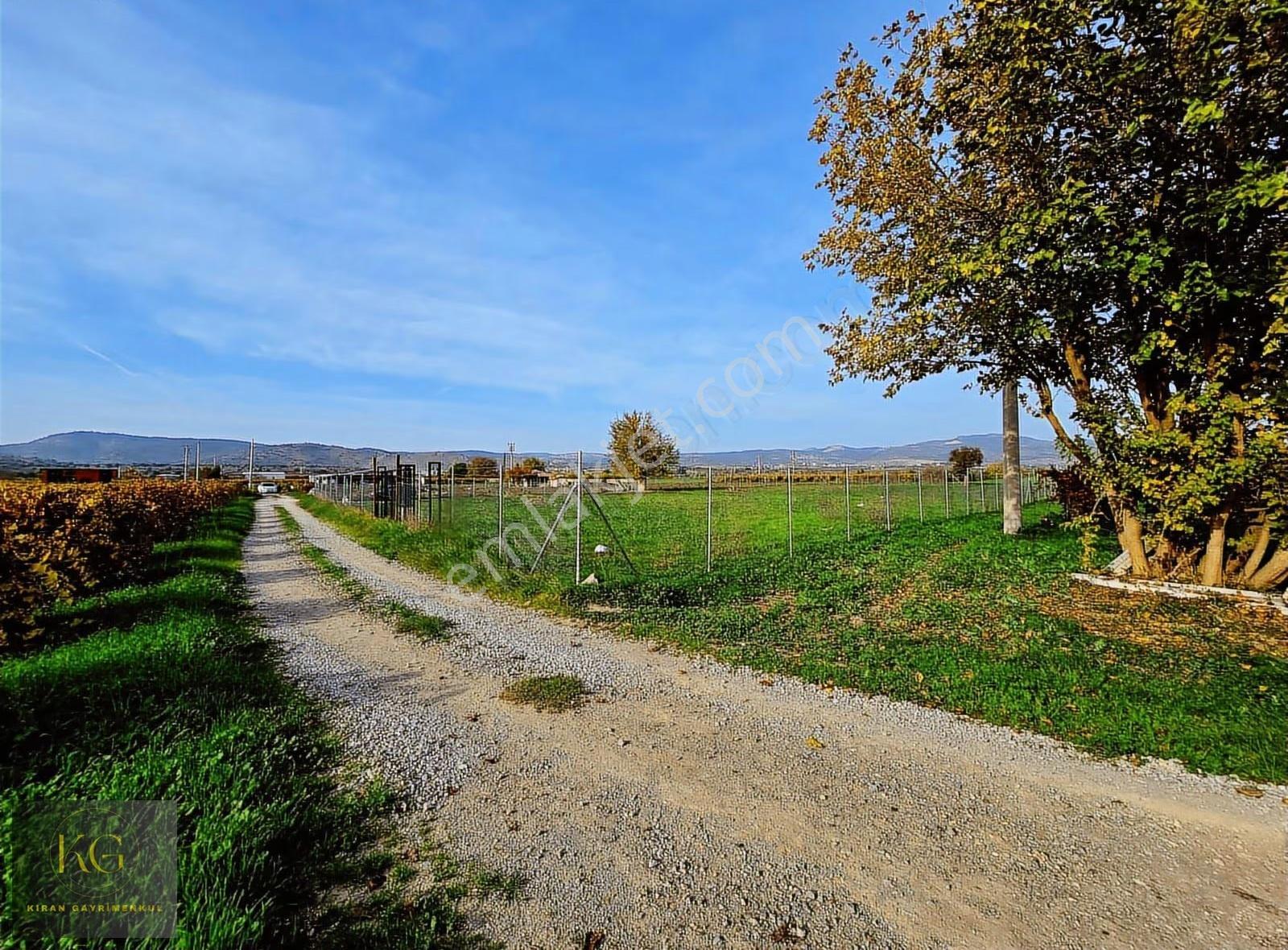Manisa Yunusemre Muradiyede Satılık 4.300 M² Tek Tapu Tarla - Görsel 12