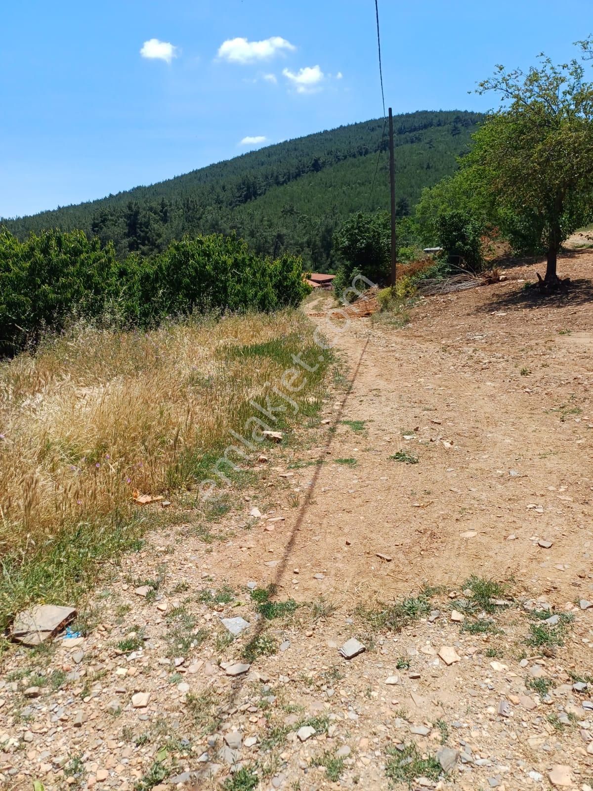 İzmir Bayındır Dernekli De Satılık %50 Köyiçi İmarlı 195 M2 İki Kat Etrafında Taş Evler Yapılıyor - Görsel 12