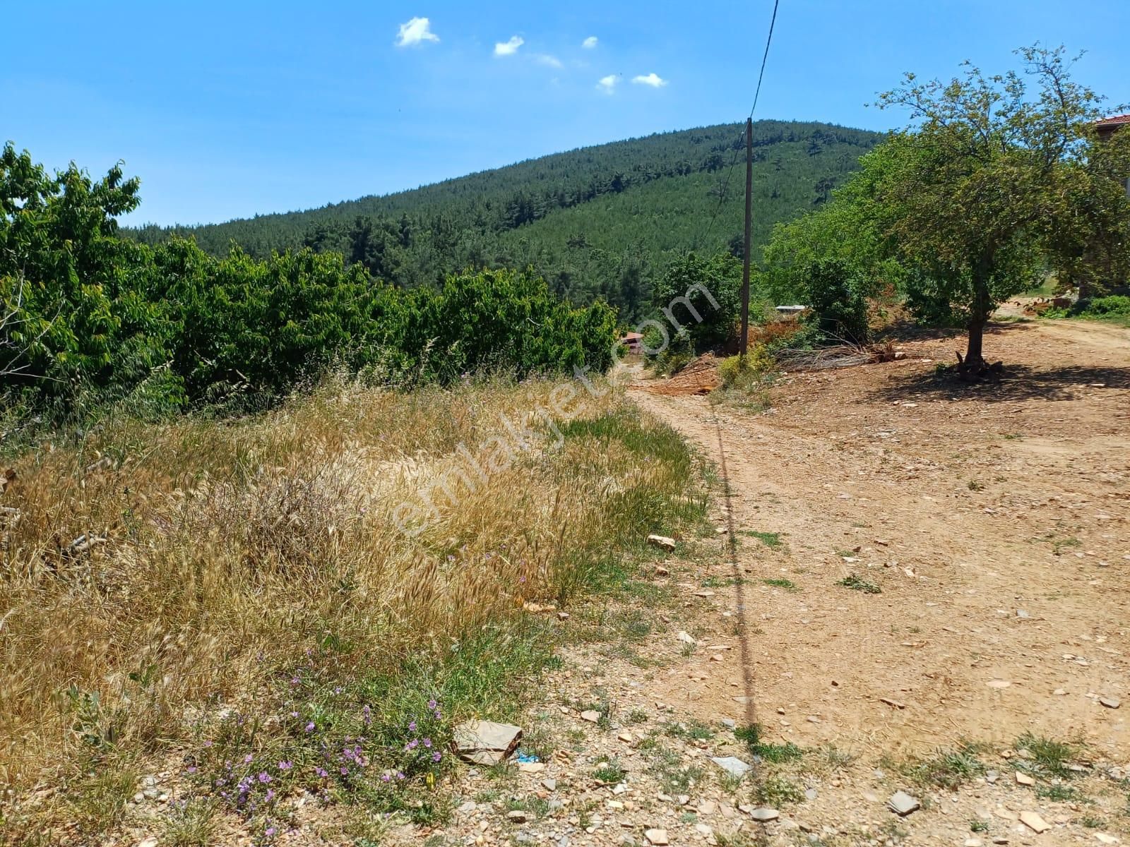 İzmir Bayındır Dernekli De Satılık %50 Köyiçi İmarlı 195 M2 İki Kat Etrafında Taş Evler Yapılıyor - Görsel 10