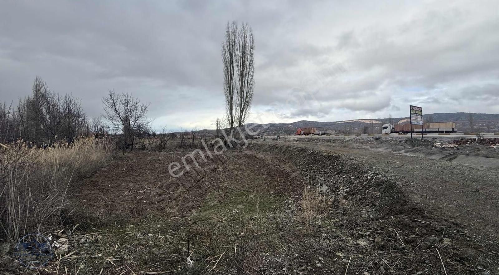 Beyşehirde Köşebaşı Satılık Tarla - Görsel 5